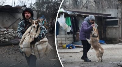 приют в Запорожье