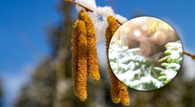 потепление