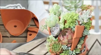 Что делать с разбитыми горшками: семь гениальных идей для сада