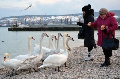 Після морозів буде +10 і дощі: коли в Одесі різко зміниться погода