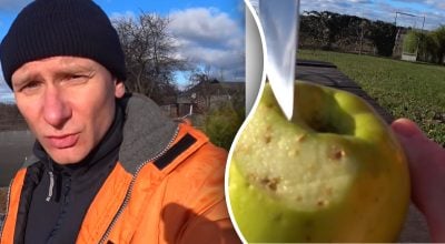 Підживлення саду взимку