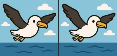 Тест на IQ: знайдіть 3 відмінності на зображенні птаха, що летить, за 31 секунду