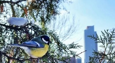 У Дніпро прийде потепління, але з характером: що підготувала погода на вихідні