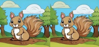 Супертест на IQ: знайдіть 3 відмінності на зображенні білки за 25 секунд