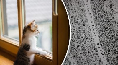 Натуральное средство для мытья окон 