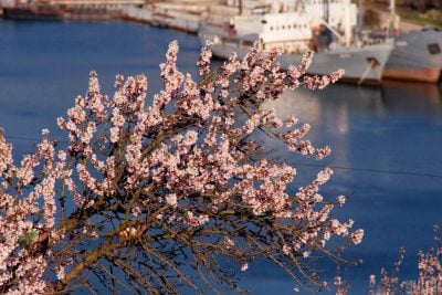 Море, весна