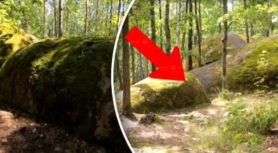 В Україні посеред лісу знайшли 'таємне місто' - науковці б'ють на сполох В Україні посеред лісу знайшли 'таємне місто' - науковці б'ють на сполох