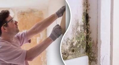 Как избавиться от плесени на стенах: это можно сделать без ремонта