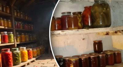 Як висушити погріб від конденсату?