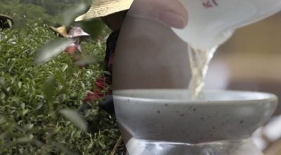 Коштовніше за золото у 30 разів: як виглядає найдорожчий напій у світі