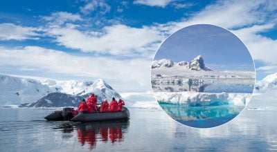 Неймовірна знахідка в Антарктиці: вчені виявили хижака, якого тут бути не повинно (фото)