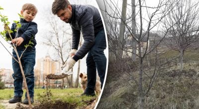Секреты опытных садоводов: что обязательно сделать весной для плодородной почвы