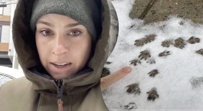 Щури "захопили" місто: жінка показала тривожну картину з вулиці