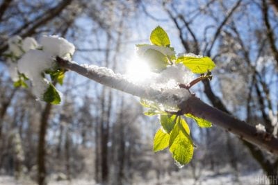 Погода, весна, 