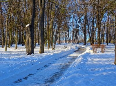 Рівненщину різко пригріє: синоптики назвали точну дату потепління Рівненщину різко пригріє: синоптики назвали точну дату потепління