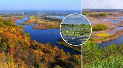 Дно видно на глибині до 2 метрів: яка мальовнича річка є однією з найчистіших в Україні
