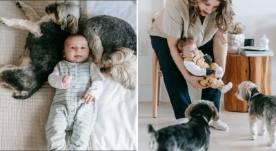 Собака все зрозуміла раніше за лікаря: чи можуть домашні тварини розпізнати вагітність