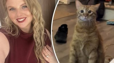 Кот удивил хозяев необычной позой