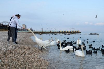 Погода, море, Одеса 