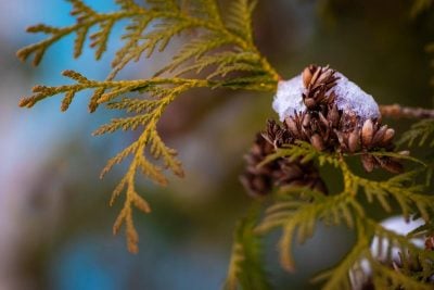 потепление, погода потепление, погода