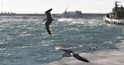 Черноморский курорт ждет новый поворот: прогноз погоды в Одессе на неделю