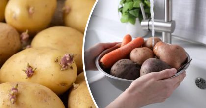 Картопля не проростатиме до літа, якщо біля неї покласти один продукт: лайфхак