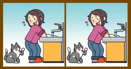 Супертест на IQ: знайдіть 3 відмінності на зображенні жінки з кішкою за 19 с