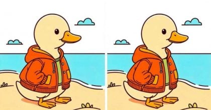 Тест на IQ: встигніть знайти 3 відмінності на зображенні з качкою в куртці за 36 с