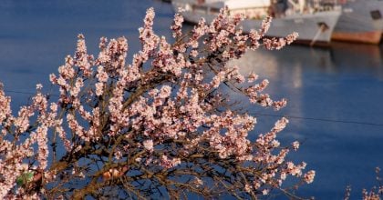 Яким буде березень-2026 в Одесі: прогноз погоди на перший місяць весни