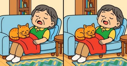 Тест на гениальность: попробуйте найти 3 отличия на картинке за 23 секунды