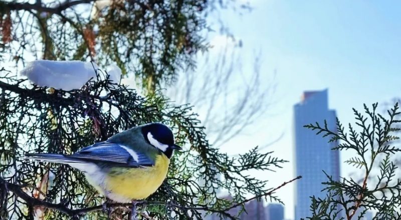 В Днепр придет потепление, но с характером: что приготовила погода на выходные