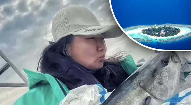 Мрія кожного: жінка кинула все заради дивного заняття