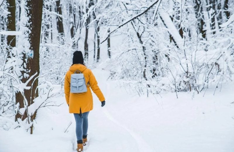 Морозы до -14 и потепление: синоптик назвала точную дату прогрева Украины