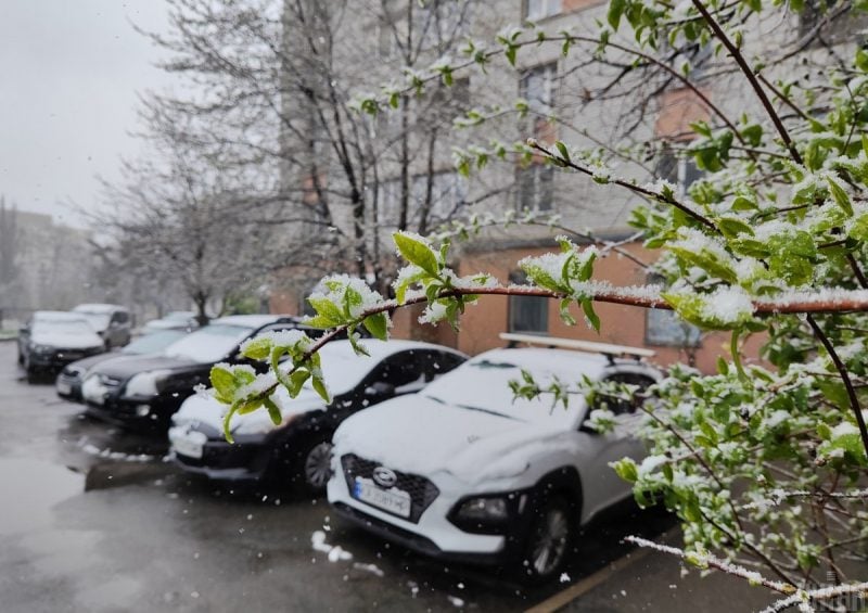 Потеплішає до +13 градусів: в Україну вже йде метеорологічна весна
