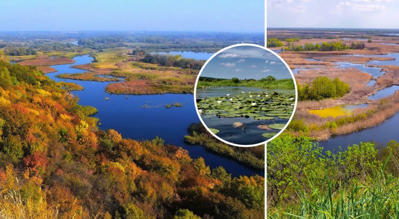 Дно видно на глибині до 2 метрів: яка мальовнича річка є однією з найчистіших в Україні
