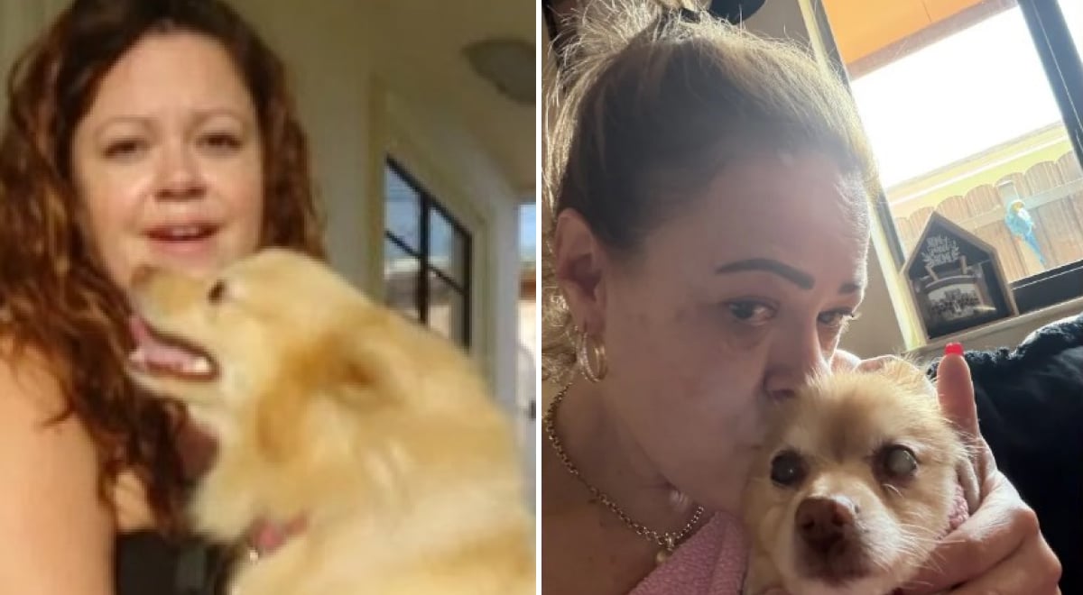 Собака пропала 12 лет назад: неожиданный звонок растрогал владелицу (фото) Собака пропала 12 лет назад: неожиданный звонок растрогал владелицу (фото)