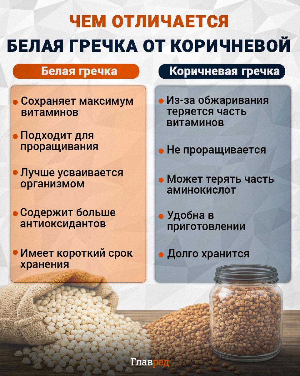 Чем отличается белая гречка от коричневой