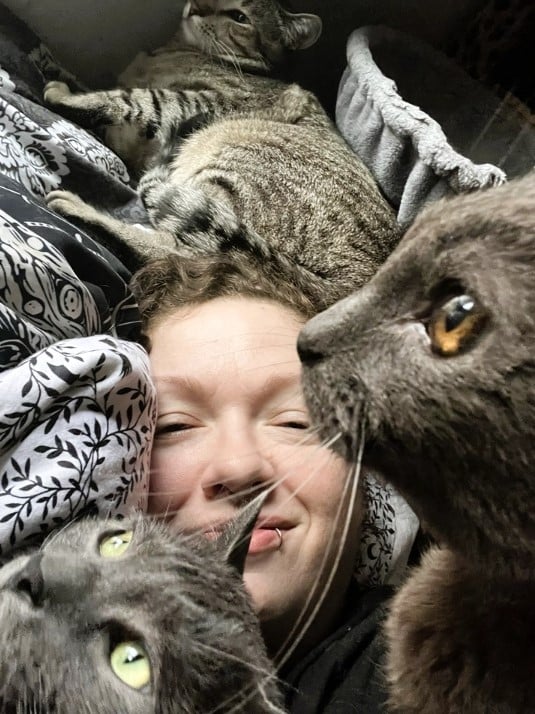 Семейная пара решила помочь бездомным животным Семейная пара решила помочь бездомным животным