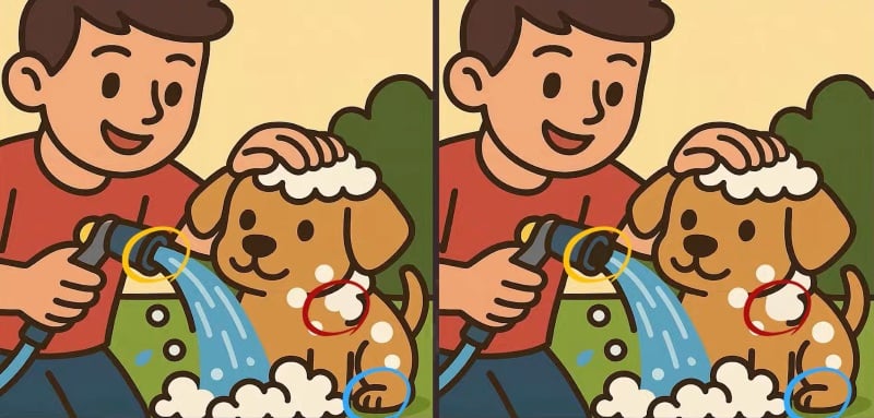 головоломка