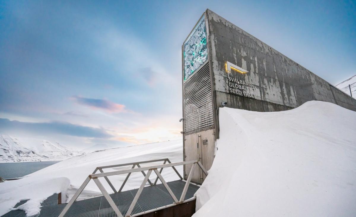 Глубоко в арктической вечной мерзлоте находится так называемое 