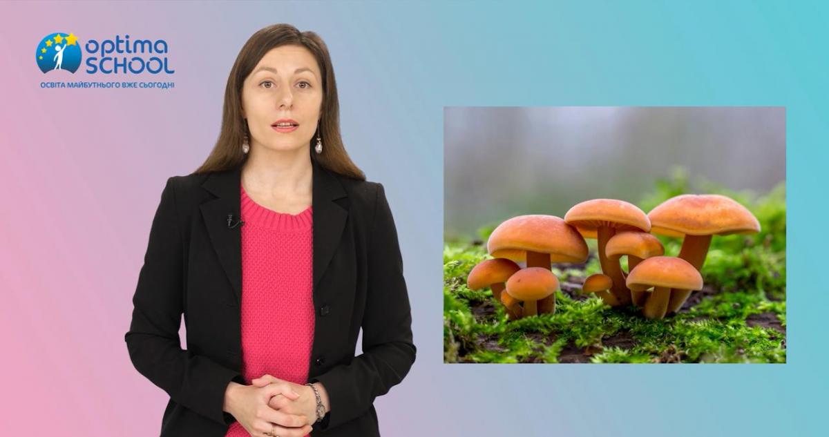 У якій онлайн-школі найкращі уроки? У якій онлайн-школі найкращі уроки?