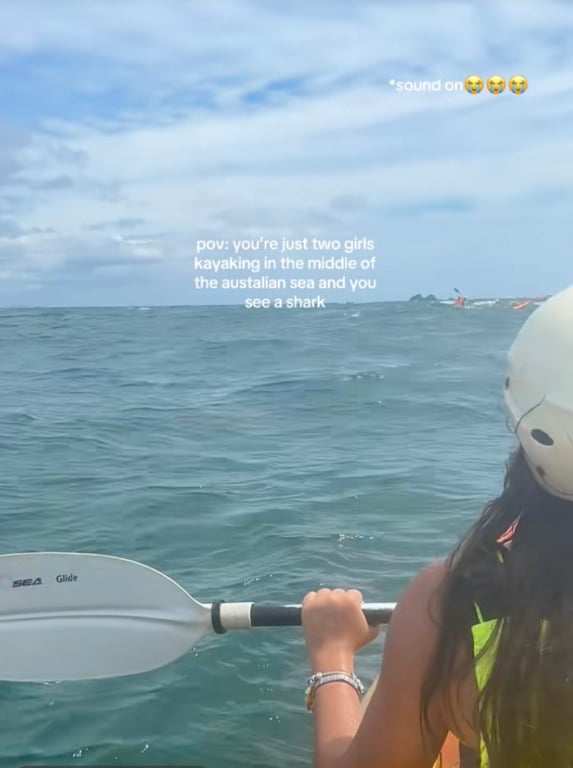 Акула пропливала поруч з туристами