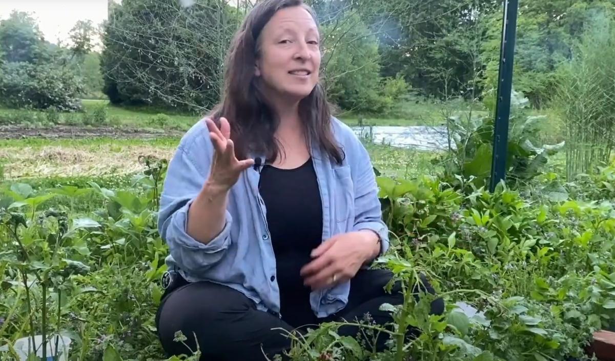 Как американцы борются с колорадским жуком