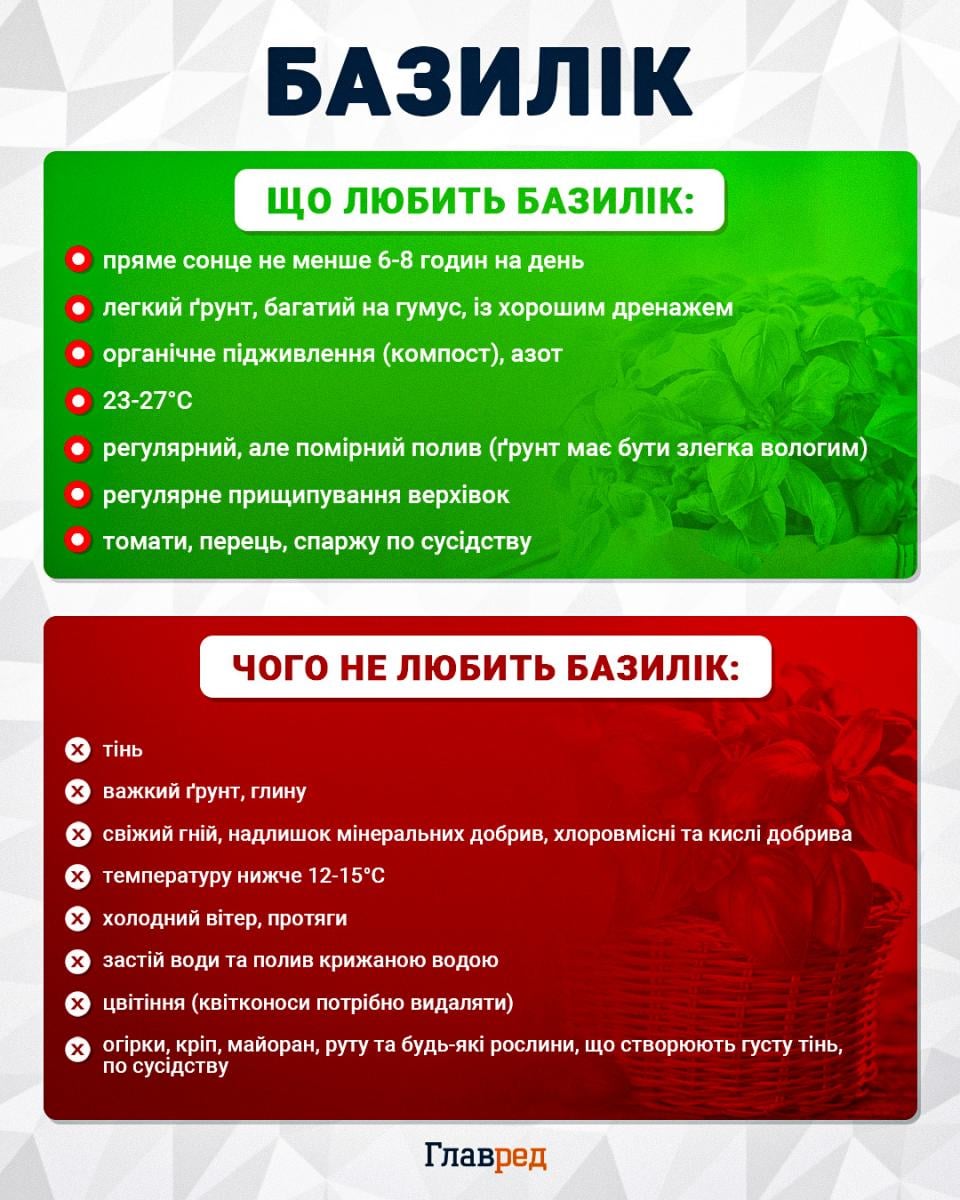 Урожай буде аж до самих заморозків: що слід обов’язково посадити на грядках у липні Урожай буде аж до самих заморозків: що слід обов’язково посадити на грядках у липні