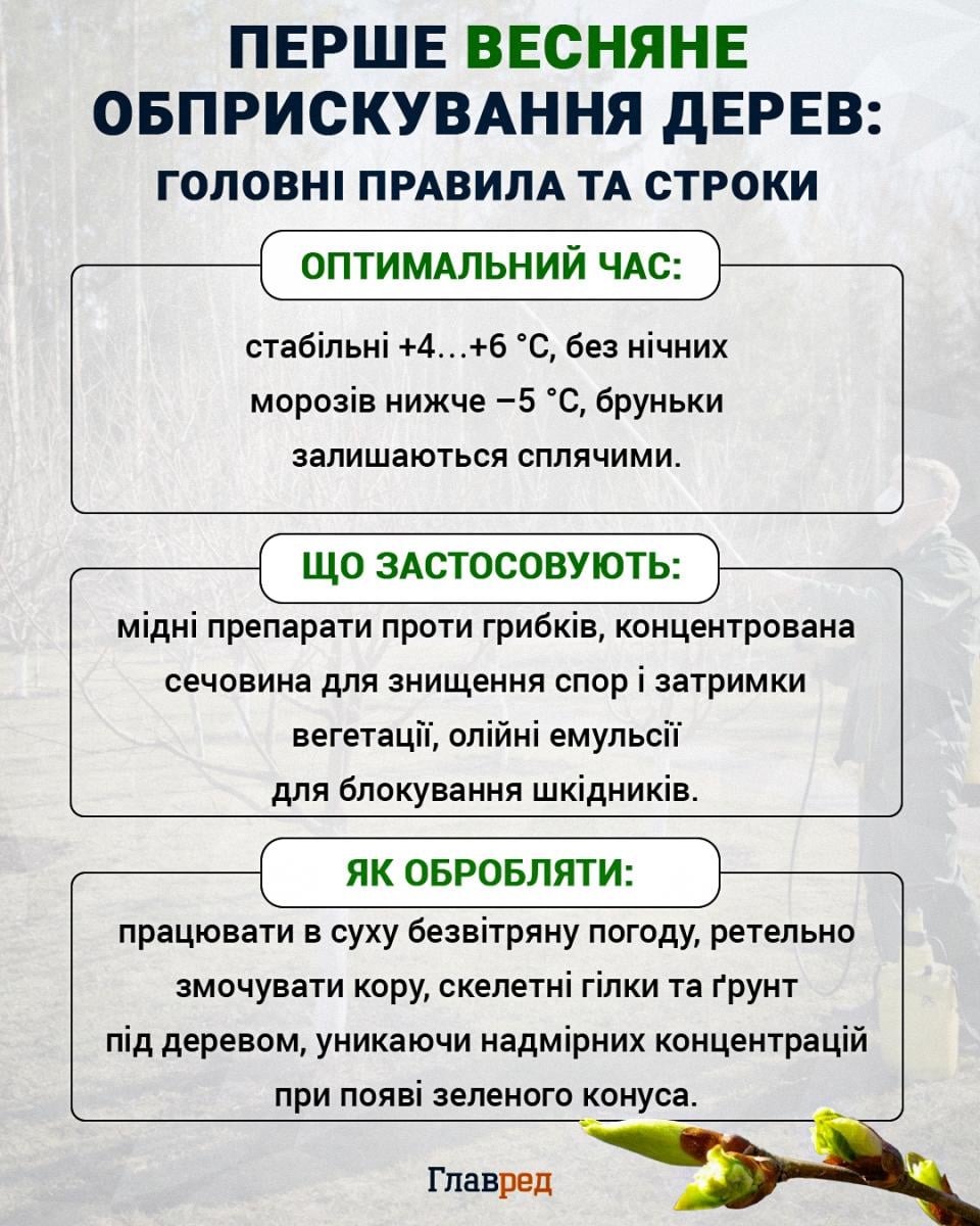 Чим навесні кропити дерева від шкідників і хвороб