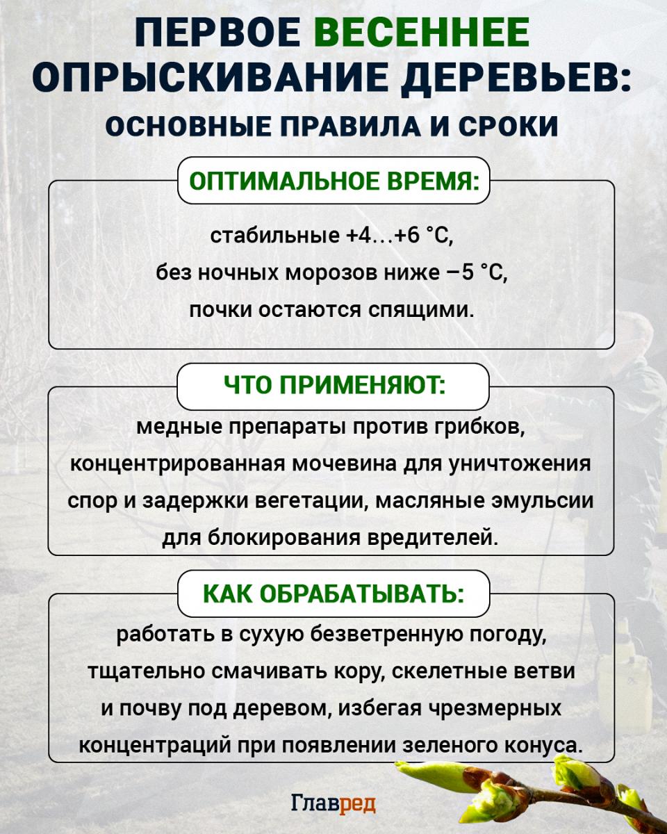 Чем весной опрыскивать деревья от вредителей и болезней Чем весной опрыскивать деревья от вредителей и болезней