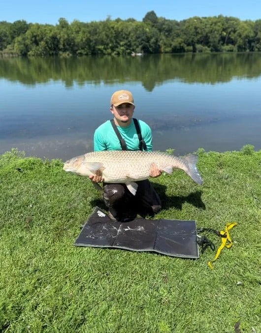 Рыбак потратил почти 2 года, чтобы поймать большого белого амура
