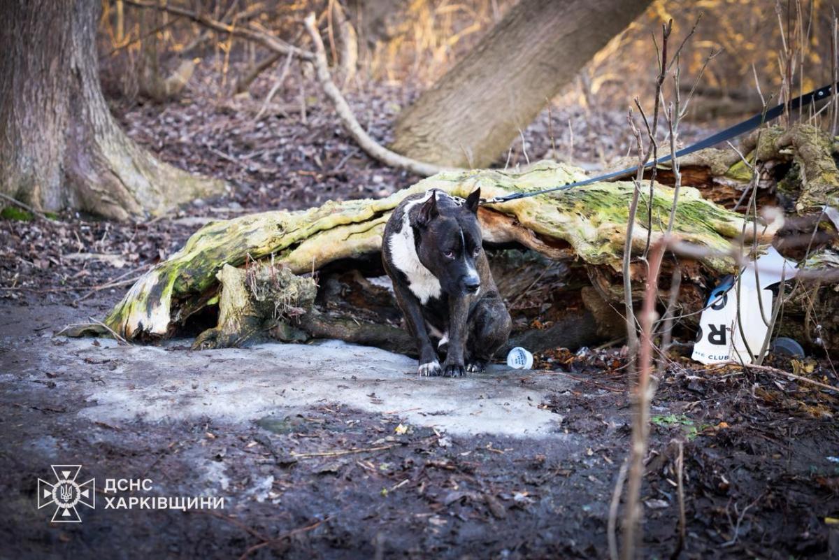 Трагедія в Харкові