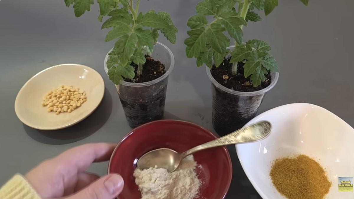 Знімок екрана