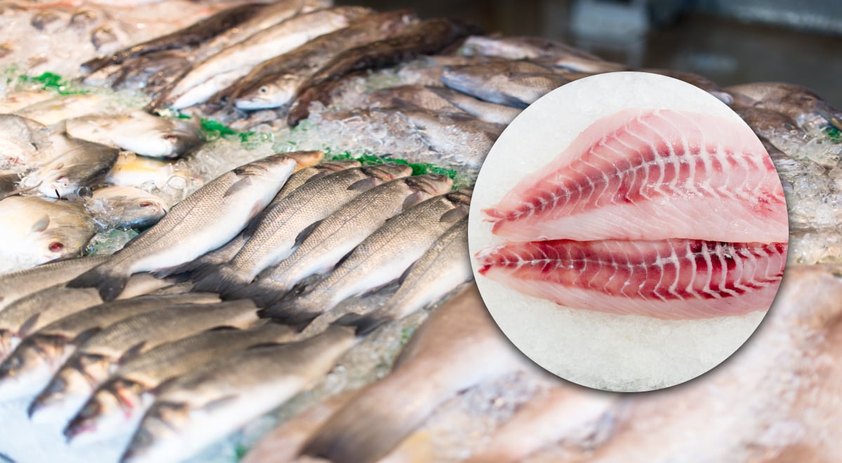 Яку популярну рибу категорично не можна їсти: там шалений вміст ртуті